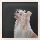 Search for chinese coasters Beautiful