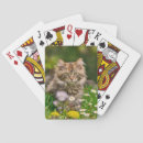 Search for maine playing cards Pet