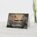 Search for happy lizard Bearded dragon