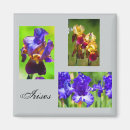 Search for iris garden magnets Summer