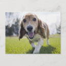 Search for cheer full postcards Happiness