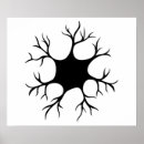 Search for neuron posters Biology