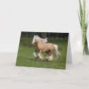 Search for gypsy vanner horse cards Bob langrish