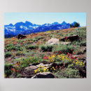 Search for backcountry art Alpine