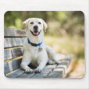 Search for lay mousepads Cute