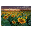 Search for crops art Landscape