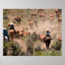 Search for cowgirl art Cattle