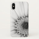 Search for african daisies iphone cases Osteospermum