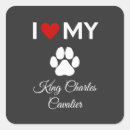 Search for cavalier king charles stickers Puppies
