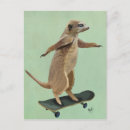 Search for skateboard postcards Antique