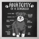 Search for funny anatomy posters Dog lover
