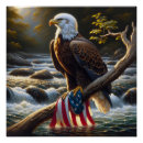 Search for american eagle posters Wildlife