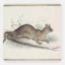 Search for polecat stickers Animal