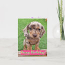 Search for dachshund birthday cards Cute