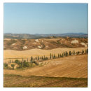 Search for siena tiles Tuscany