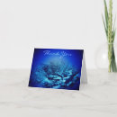Search for streams cards Photography