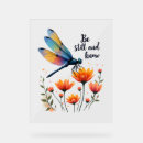 Search for dragonfly signs Wildlife