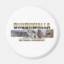 Search for blm magnets Usa