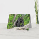 Search for primate pics cards Animal