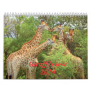 Search for giraffe calendars Animal