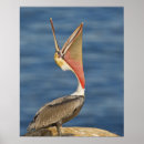 Search for wild side posters Wildlife