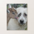 Search for baby goat toy games Animals