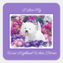 Search for west highland white terrier stickers Westie