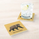 Search for bears coasters Brown