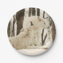Search for arctic wolves Animal