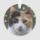 Search for calico cat christmas tree decorations Pet