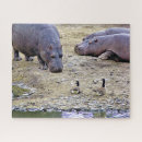 Search for hippo puzzles Wildlife
