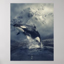 Search for jumping whale posters Nature