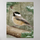 Search for chickadee posters Winter