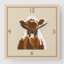 Search for farm animal clocks Cows