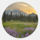 Search for composition stickers Nature