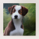 Search for border collie puzzles Puppy
