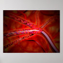 Search for injection posters Medicine