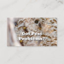 Search for controller business cards Hornet