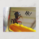 Search for funny aunt postcards For her