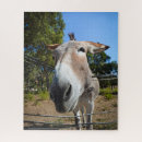 Search for donkey puzzles Nature