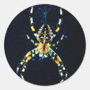 Search for european stickers Wildlife