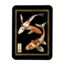 Search for koi magnets Swimming