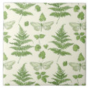 Search for green fern coasters Woodland