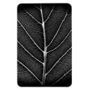 Search for vein magnets Nature