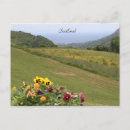 Search for scotland birthday cards Flowers