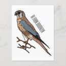 Search for american illustrators postcards Bird