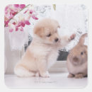 Search for lop rabbit stickers Togetherness