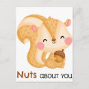 Search for squirrel with nut birthday cards Squirrels