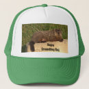 Search for groundhog day Nature