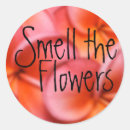 Search for fragrance stickers Flowers